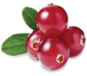 Fragrance Menu - Cranberries