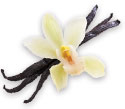 Fragrance Menu - Vanilla Bean